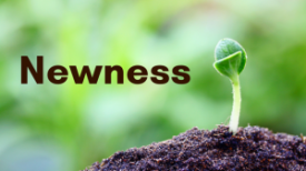 Newness