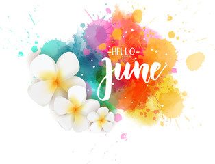 Hello June