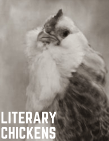 literary chickens