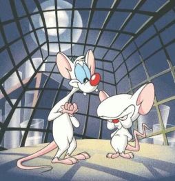 pinky and the brain
