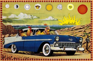 chicken family summer road trip